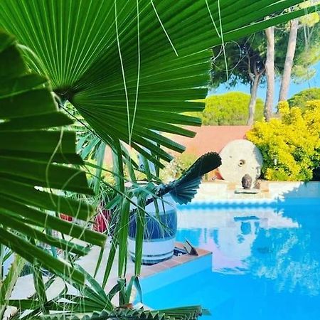 Hebergement Insolite Studio Grau Du Roi Mas Des Marines Piscine 勒格罗-迪鲁瓦 外观 照片