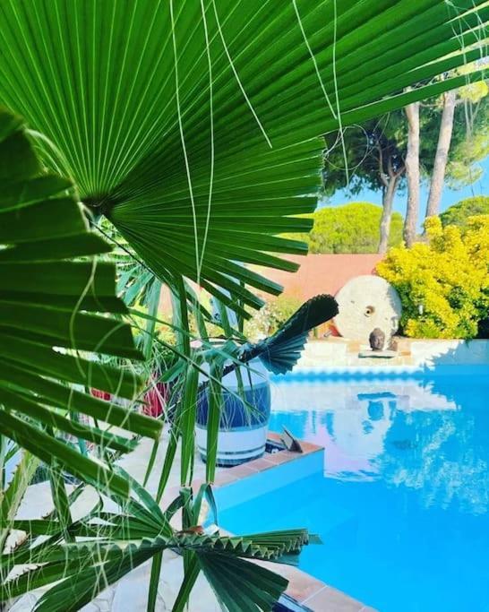 Hebergement Insolite Studio Grau Du Roi Mas Des Marines Piscine 勒格罗-迪鲁瓦 外观 照片