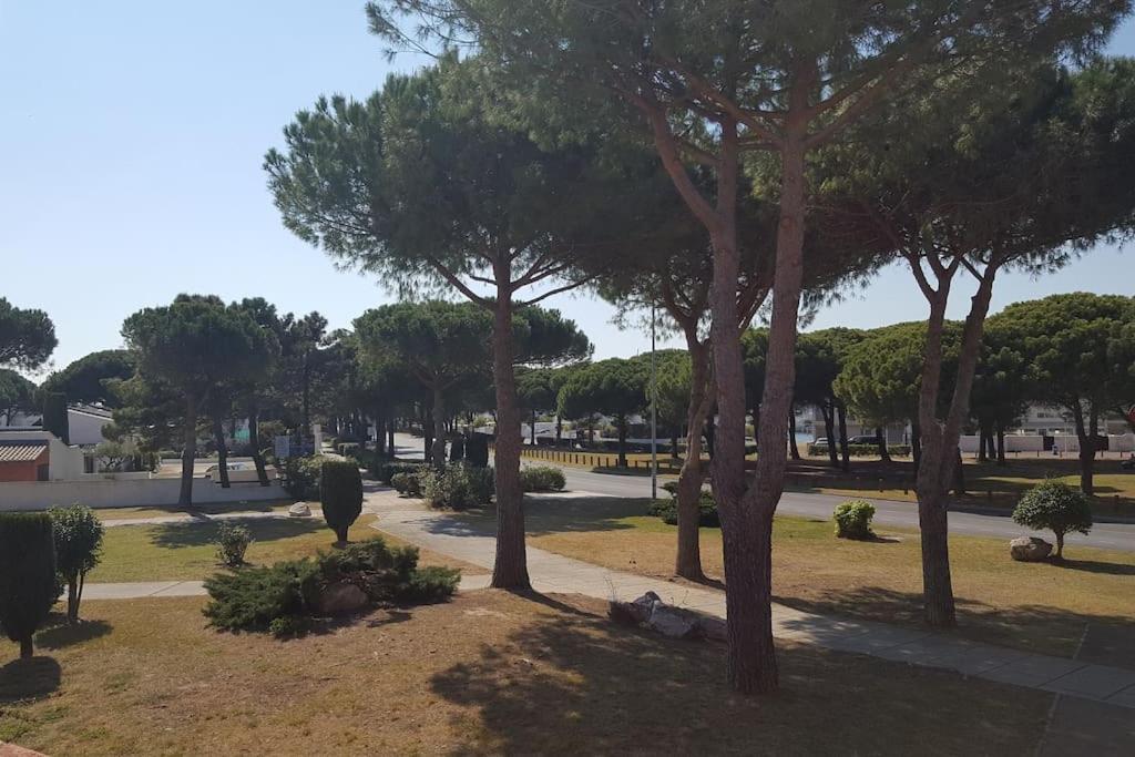 Hebergement Insolite Studio Grau Du Roi Mas Des Marines Piscine 勒格罗-迪鲁瓦 外观 照片