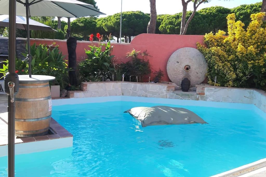 Hebergement Insolite Studio Grau Du Roi Mas Des Marines Piscine 勒格罗-迪鲁瓦 外观 照片