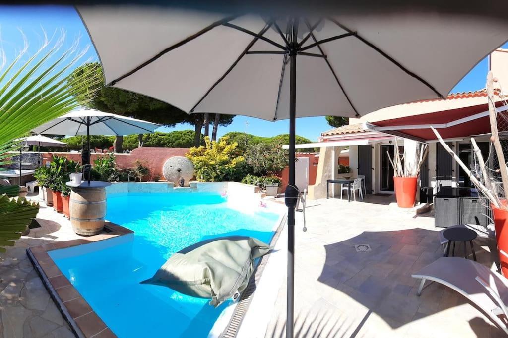 Hebergement Insolite Studio Grau Du Roi Mas Des Marines Piscine 勒格罗-迪鲁瓦 外观 照片